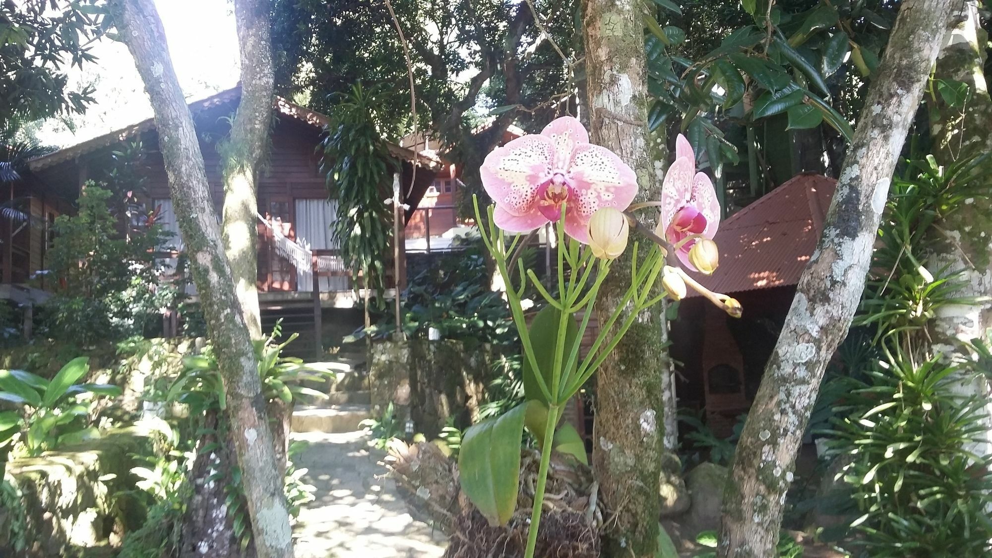 Pousada Mata Nativa Vila do Abraao Luaran gambar