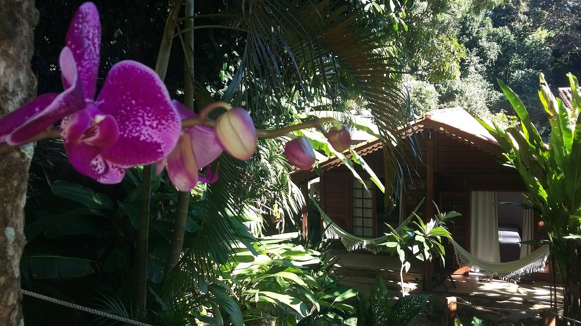 Pousada Mata Nativa Vila do Abraao Luaran gambar